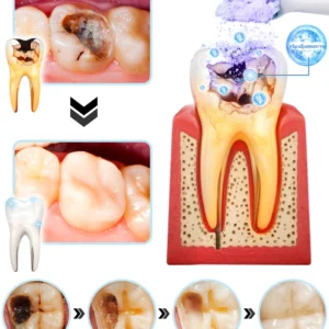 Tooth brushing powder containing minerals