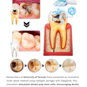 HONXI™ Focussmile Bee Venom Treatment Oral Powder