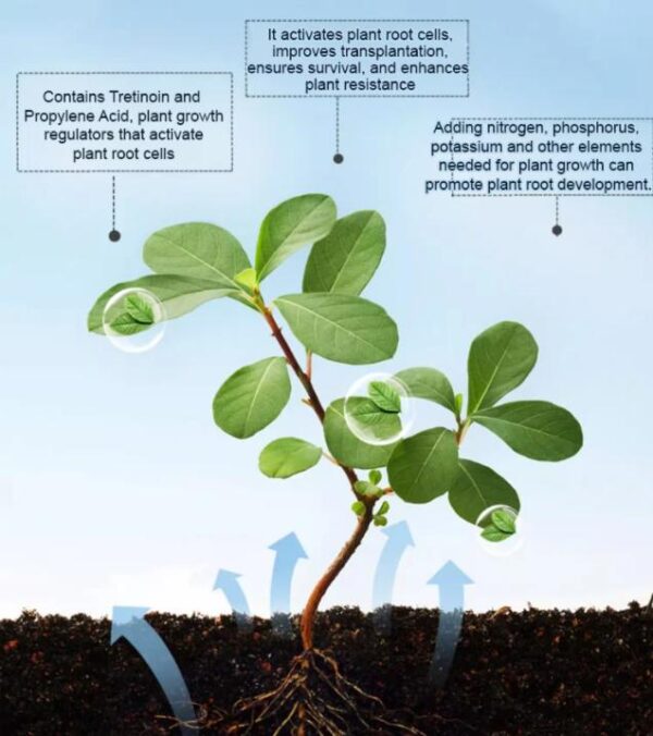 Strong Rooting Powder Microbial Fertilizer