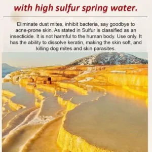 Sulfur Mite-Clearing Liquid Soap for Full Body Use