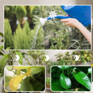 Concentrated Nutrient Solution for Flowers and Plants